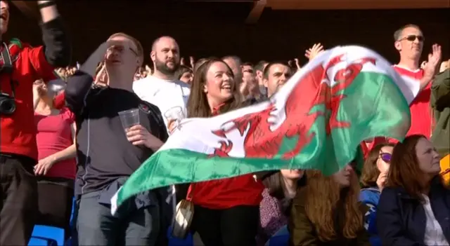 Wales fans