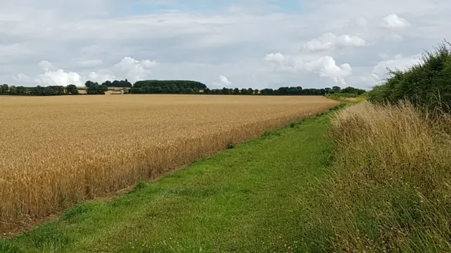 Picture of Balsham in Cambridgeshire