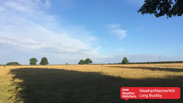 Long buckby