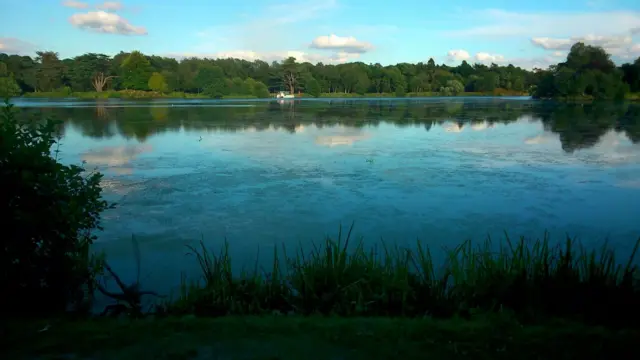 Trentham lake