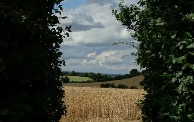 Severn Stoke