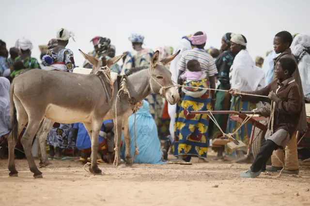 A boy pulling a donkey in Burkina Faso