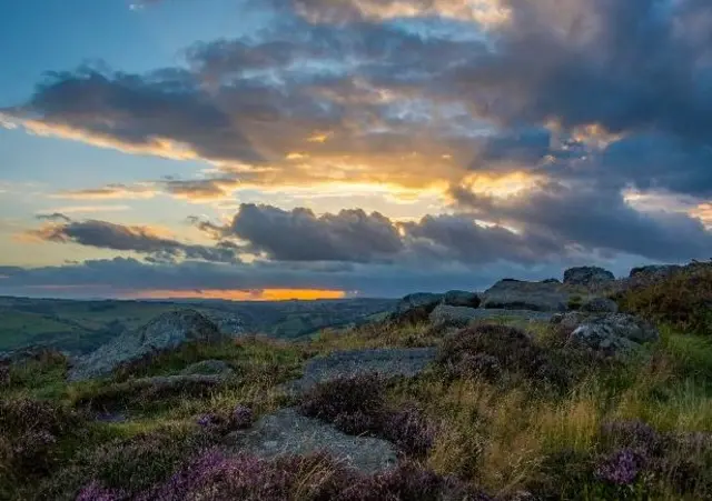 Heather on moorland at Stoney Middleton