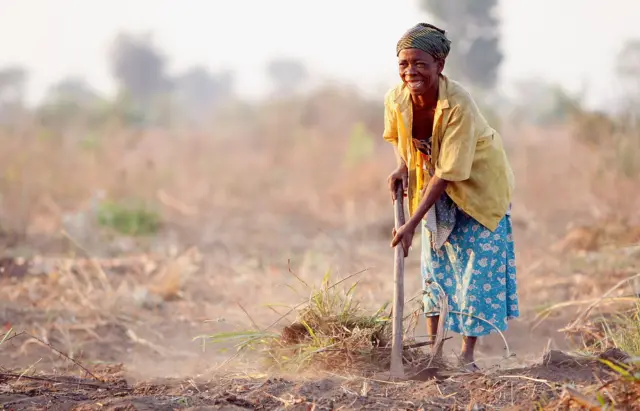 Woman clearing land in Malawi