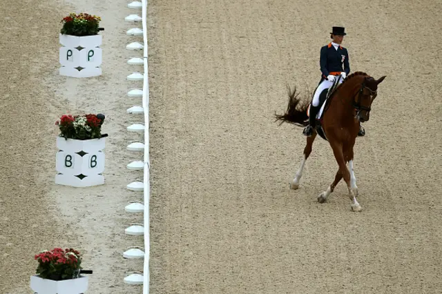 Adelinde Cornelissen on Parzival