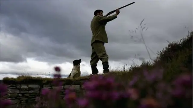 Man with dog shooting grouse