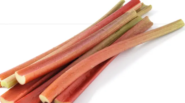 Rhubarb