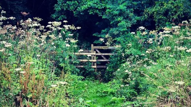 Gate on Loynton Moss nature reserve