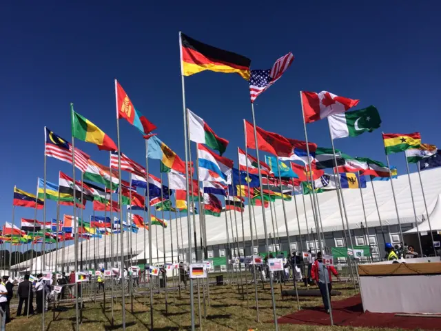 Flags at Jalsa Salana