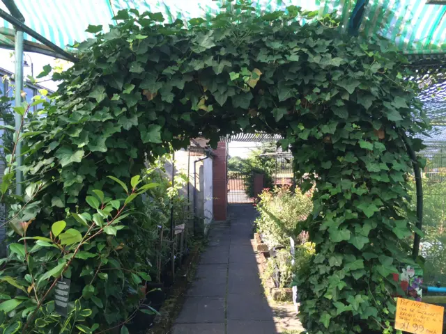 Payne's nurseries arch