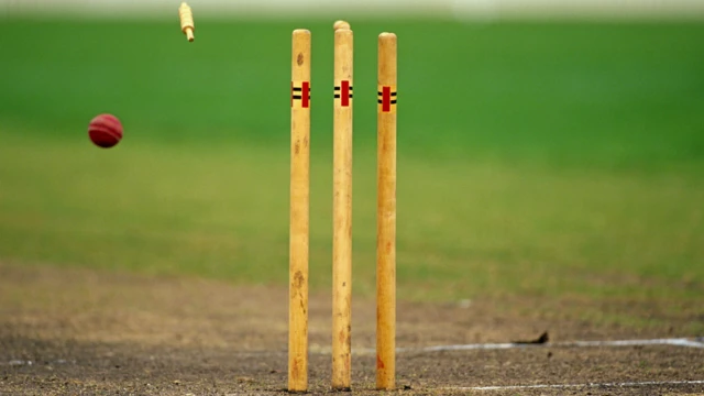 Cricket stumps