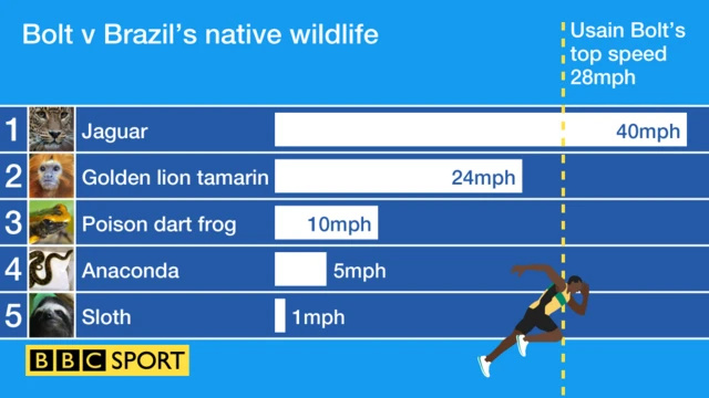 Bolt v wildlife