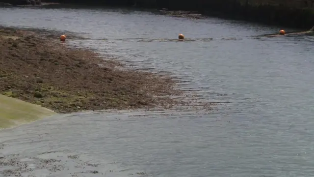 Hayle Harbour bank