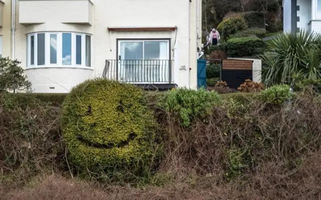 Smiling bush in Leigh