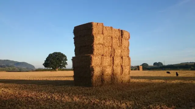 Hay bales