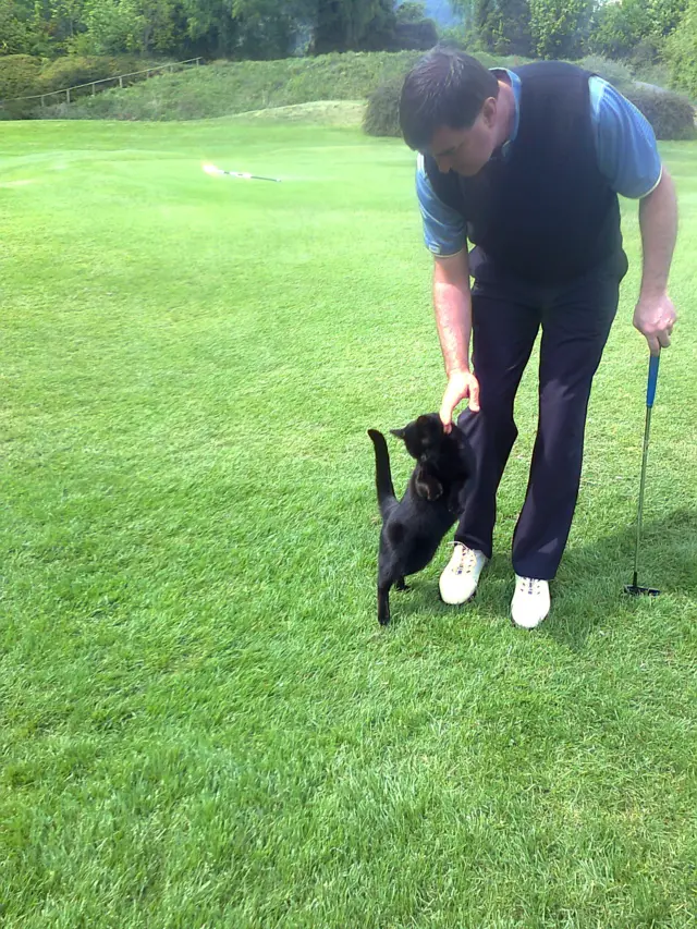 Cat and a man on the golf course