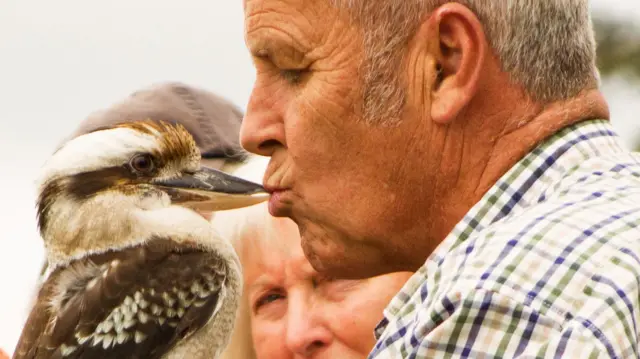 Man kissing bird's beak