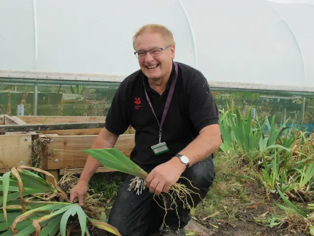 Philip Waites preparing iris for replanting in the gardens in 2016