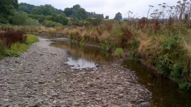 Dried up Teme