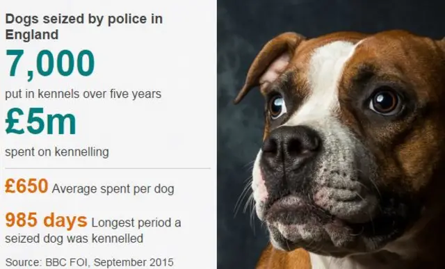 Dogs seize by police stats