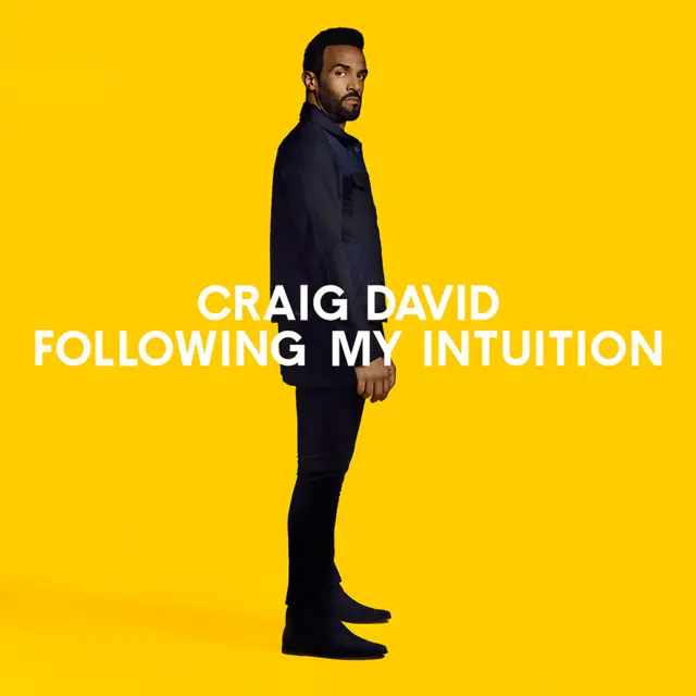 Craig David artwork