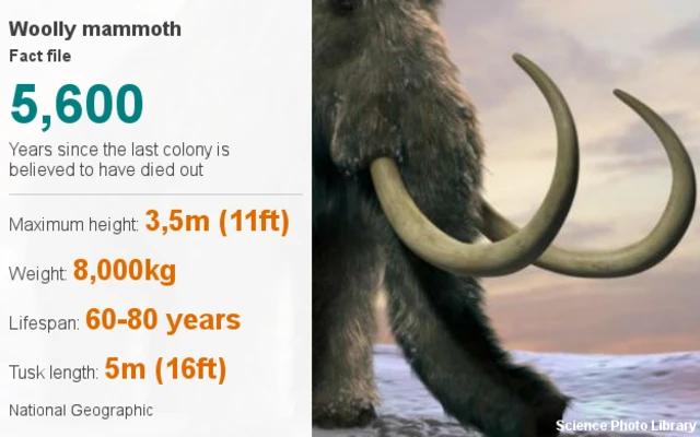 Woolly mammoth facts