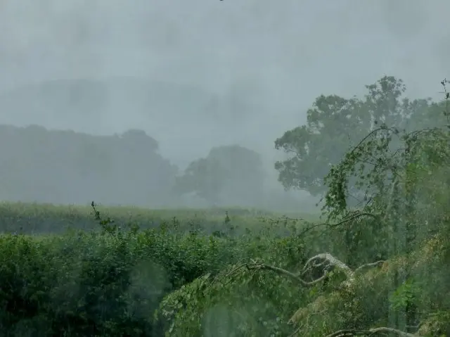 Rain in a field