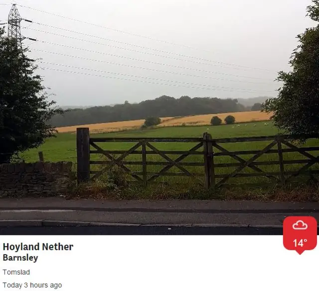 A field near Hoyland Nether