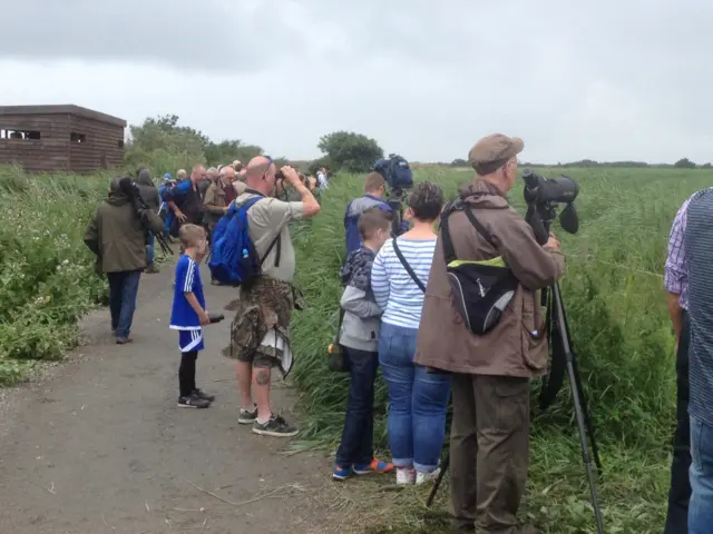 Twitchers at Minsmere