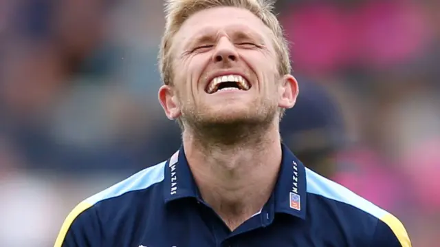 David Willey