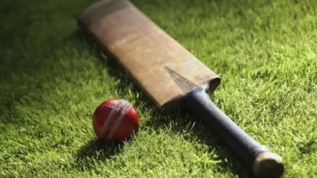 Cricket bat and ball