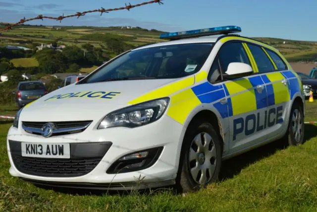 Police car in field