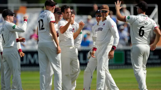 Somerset celebrate