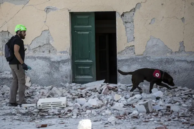 Search and rescue teams with dogs search for missing people amid the rubble of collapsed buildings in Amatrice