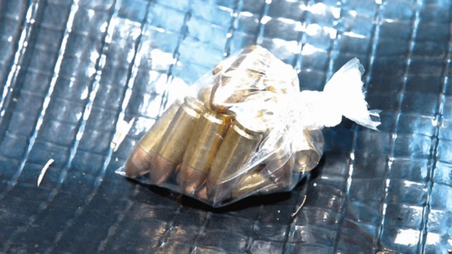 Ammunition found in arms dump seized by police