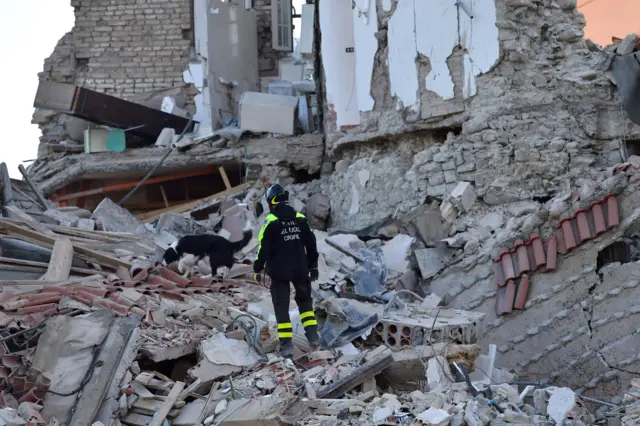 Rescue worker and dog search for survivors in Amatrice (25 August 2016)