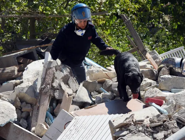 A policeman and his dog, Leo, at work on the rubble of a collapsed building in Pescara del Tronto, center of Italy, 25 August 2016.