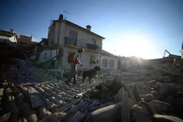 rescue dog in Italy silhoueeted against sunset