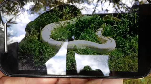 Snake on phone