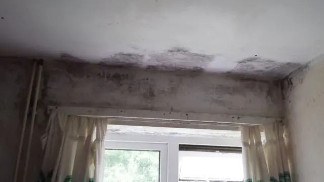 Mould on the walls of a Shrewsbury flat