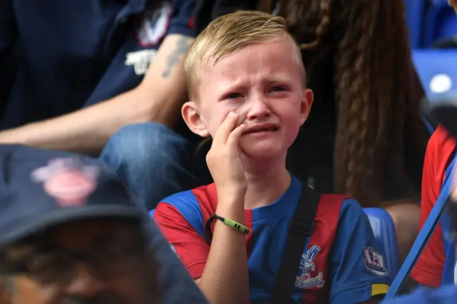 A Crystal Palace fan