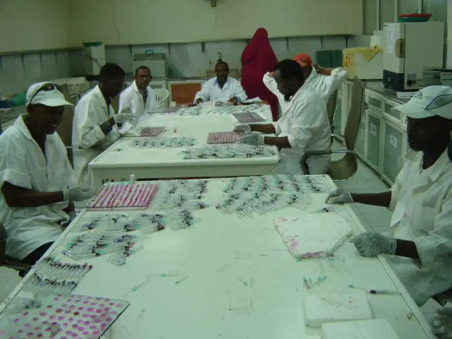 People with injections in Berbera, Somaliland