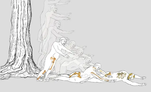 An animation depicting a hypothetical scenario for Lucy’s fall out of a tree.