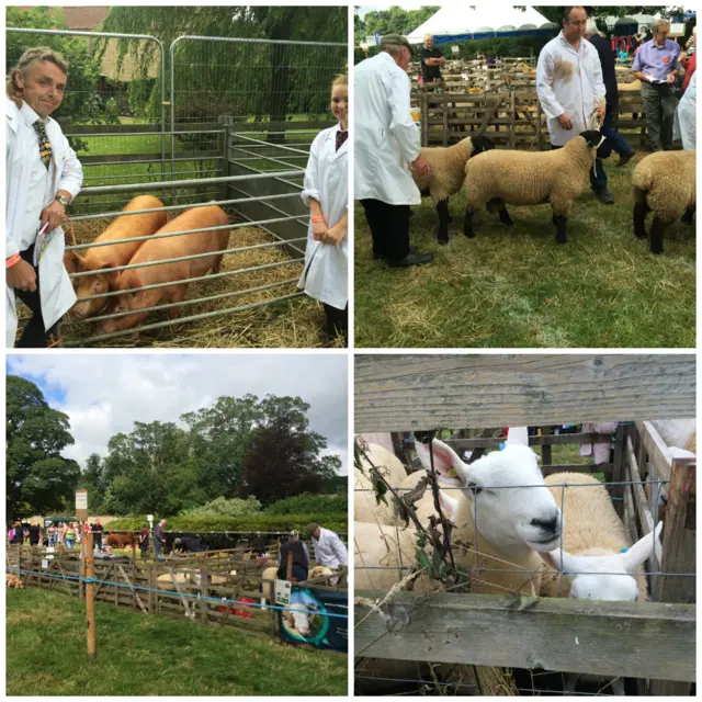 Thornton-le-Dale Show