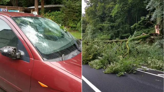 Kirsty Howard's car and fallen tree. Pic: Kirsty Howard