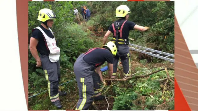 Dog rescue. Pic: Truro Community Fire Station/Facebook