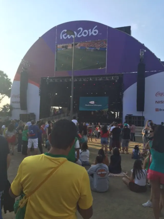 Fans watch Brazil in action