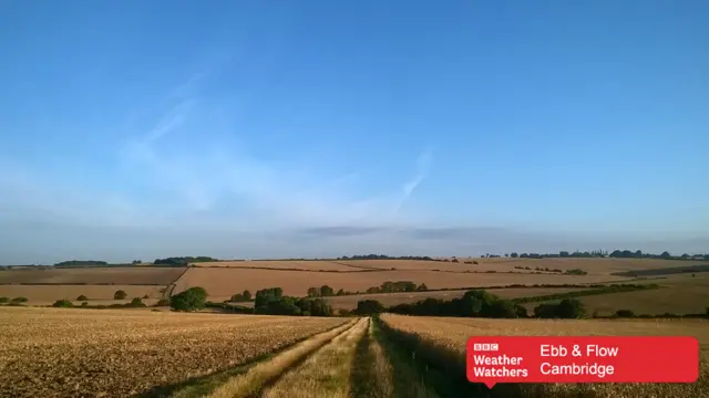 Field near Cambridge