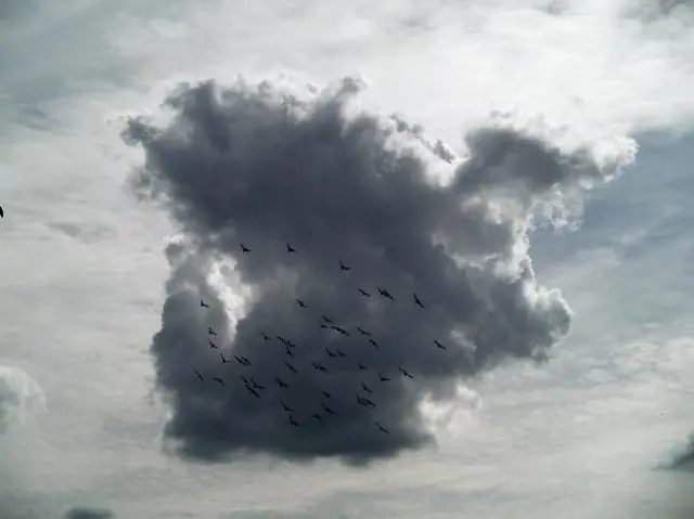 clouds