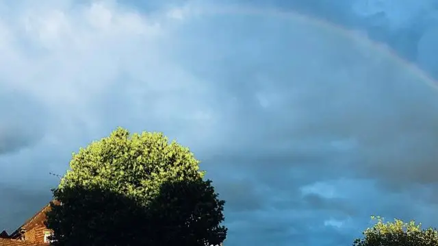 Rainbow and tree